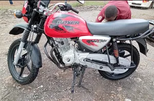 Bajaj Boxer X125 2024 Red
