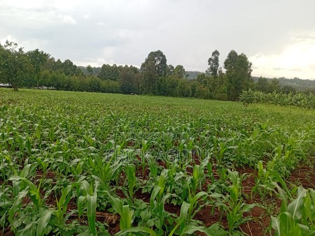 50x100 Land Fo Sale in Ruiru at KSHS 1.8 M