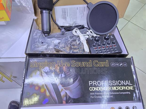 Original Bm800 Condenser Mic With Clear Sound for Podcast Recording