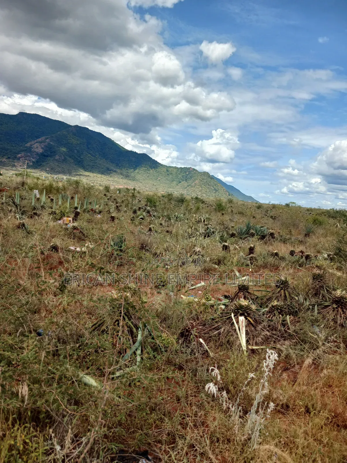 3200 Acres Prime Land for Sale in Voi