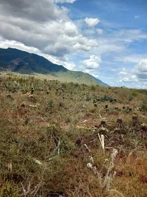 3200 Acres Prime Land for Sale in Voi