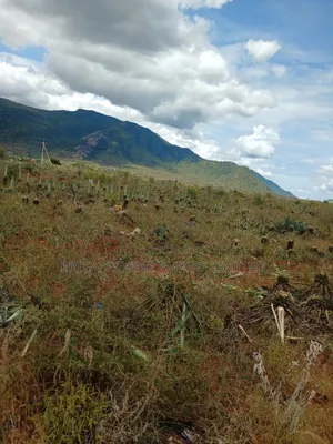 3200 Acres Prime Land for Sale in Voi