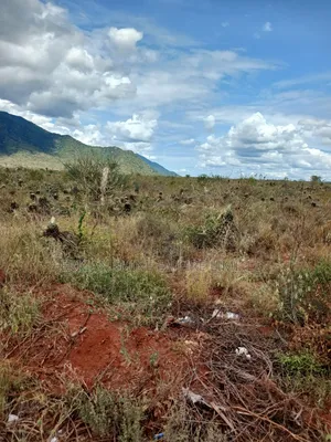 3200 Acres Prime Land for Sale in Voi