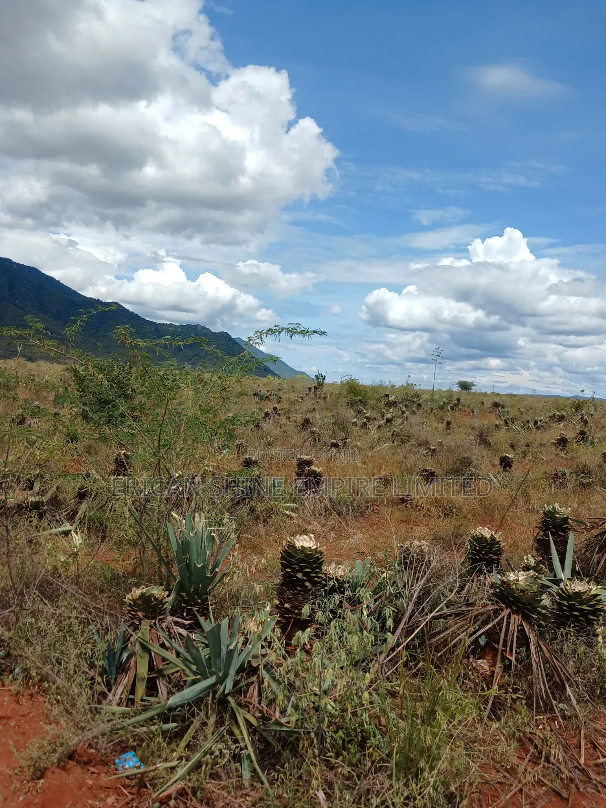 3200 Acres Prime Land for Sale in Voi