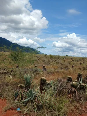 3200 Acres Prime Land for Sale in Voi