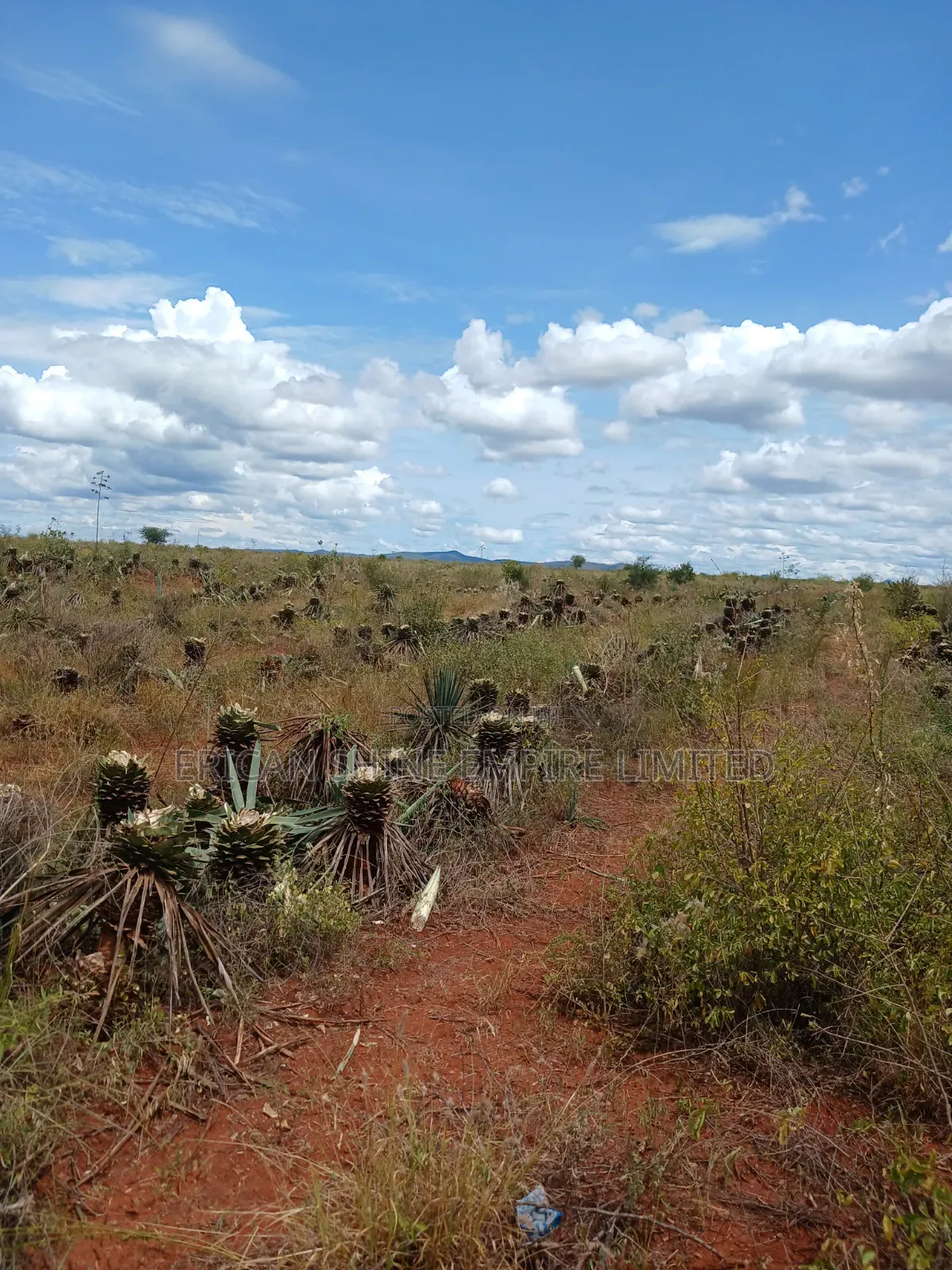 3200 Acres Prime Land for Sale in Voi