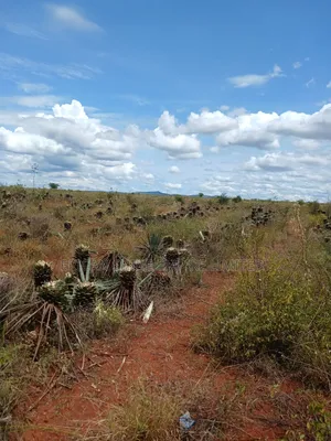 3200 Acres Prime Land for Sale in Voi
