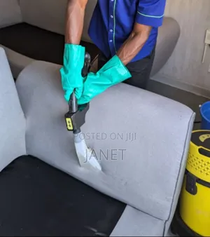 Professional Upholstery Cleaning Services