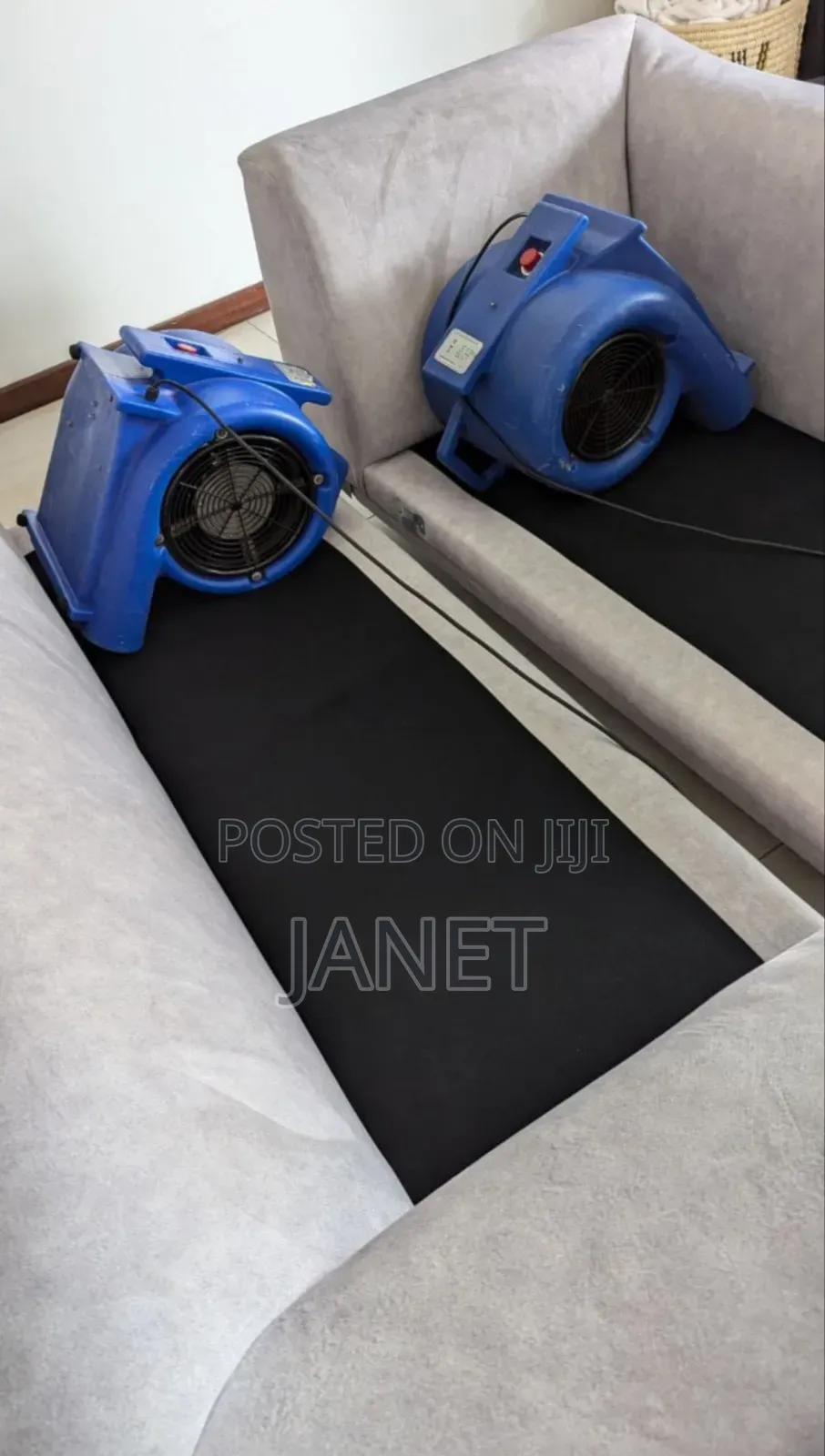 Professional Upholstery Cleaning Services