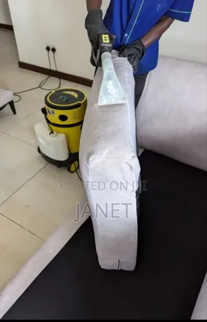 Professional Upholstery Cleaning Services