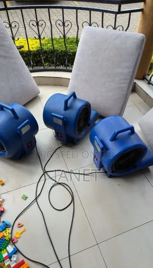Professional Upholstery Cleaning Services