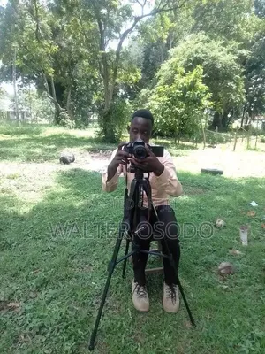 Looking for Marketing
