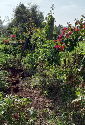 Kutus-Kerugoya Land