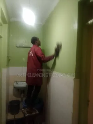Toilet Disinfection and Cleaning