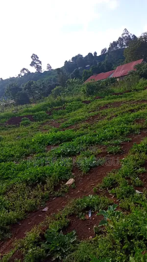Prime Commercial Land.0.9acre, Touching Rironi -Mau Summit Road