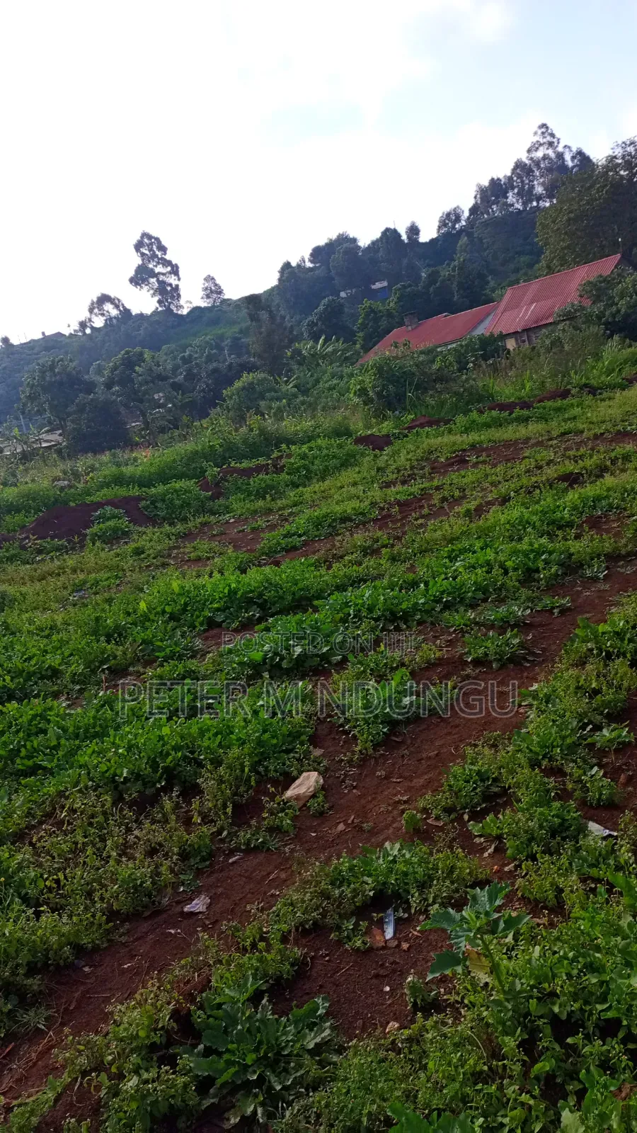 Prime Commercial Land.0.9acre, Touching Rironi -Mau Summit Road