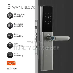 Tuya Wifi Lock Remote Control Intelligent Door Lock