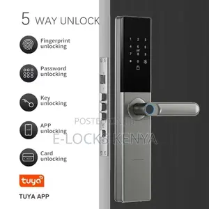 Tuya Wifi Lock Remote Control Intelligent Door Lock