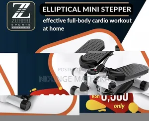 Workout Stepping Machine
