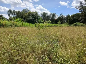 Oj Junction 75x150 Commercial Plot