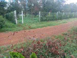 Thika Groove 50x100 Residential Plot.