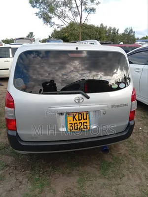 Toyota Probox 2019 Silver