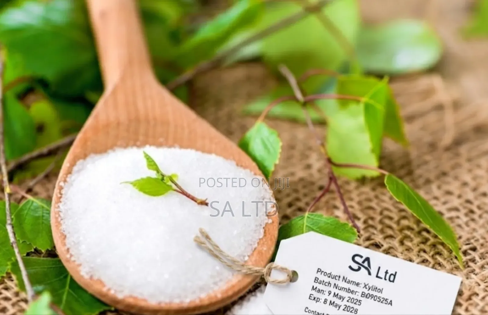 Xylitol Available