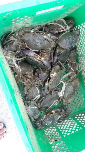 Crabs for Sale