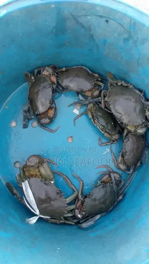 Crabs for Sale