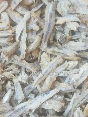 Katashingo for Sale Wholesale or Retail