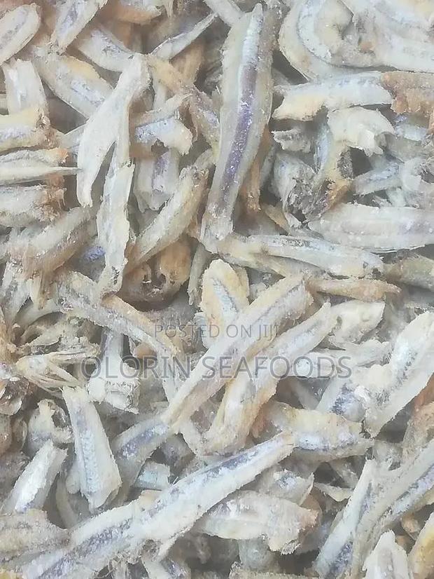 Katashingo for Sale Wholesale or Retail