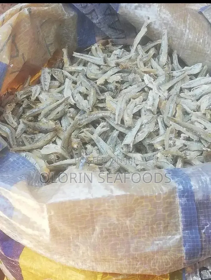 Katashingo for Sale Wholesale or Retail