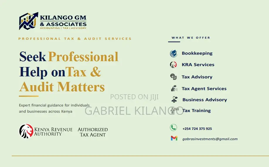 Seek Professional Help On Tax Audit Matters