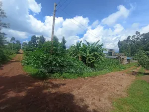 1/4 Acre Plots for Sale in Gikambura, Kikuyu