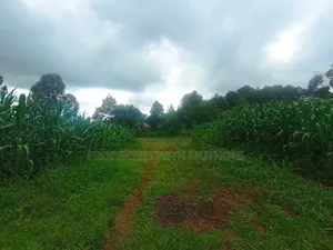1/4 Acre Plots for Sale in Gikambura, Kikuyu