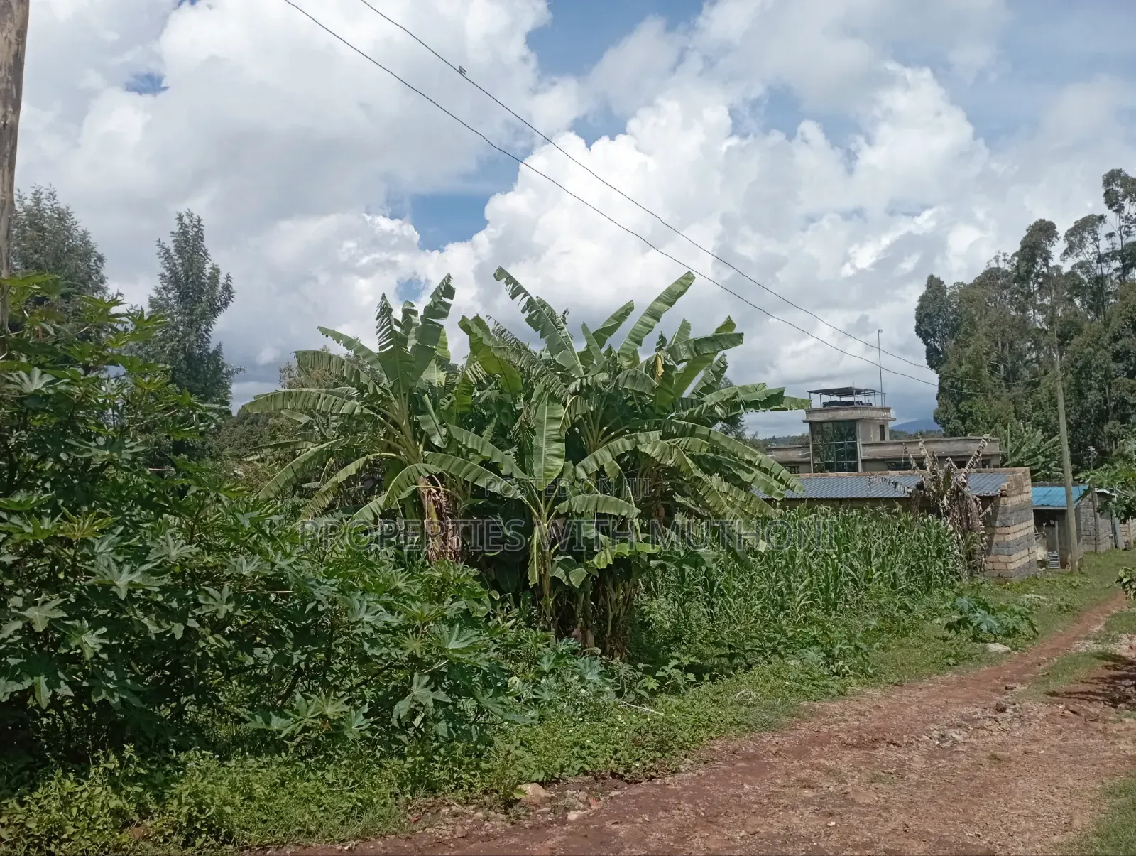 1/4 Acre Plots for Sale in Gikambura, Kikuyu