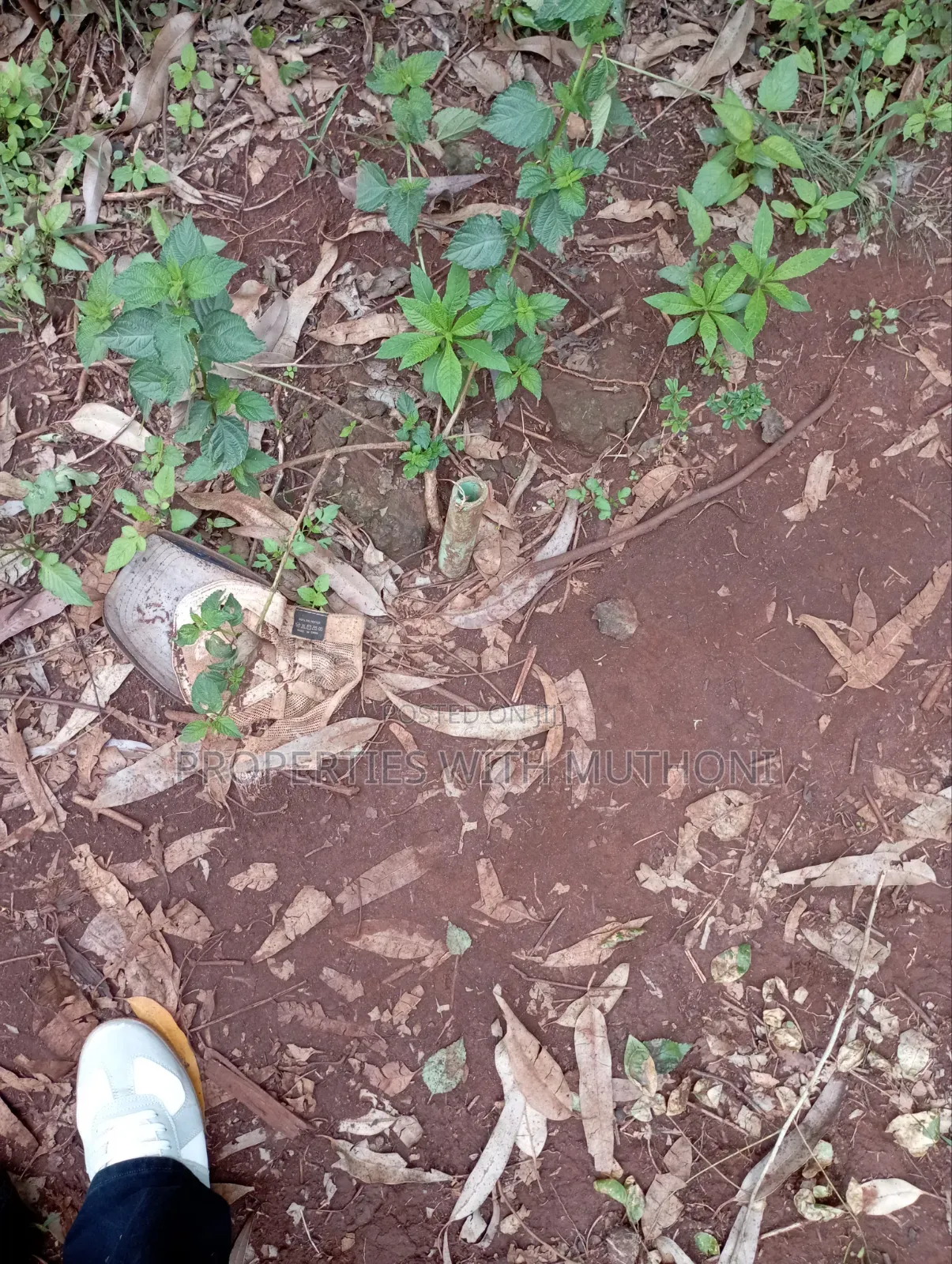 50×100 Plot for Sale in Gikambura, Kikuyu.