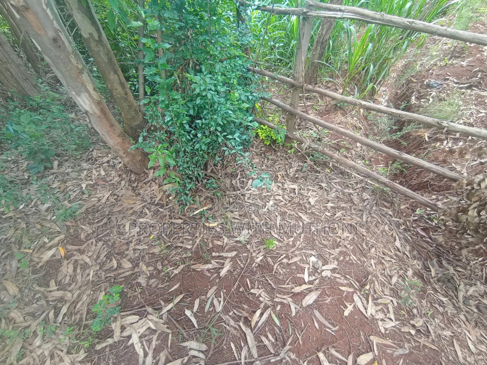 50×100 Plot for Sale in Gikambura, Kikuyu.