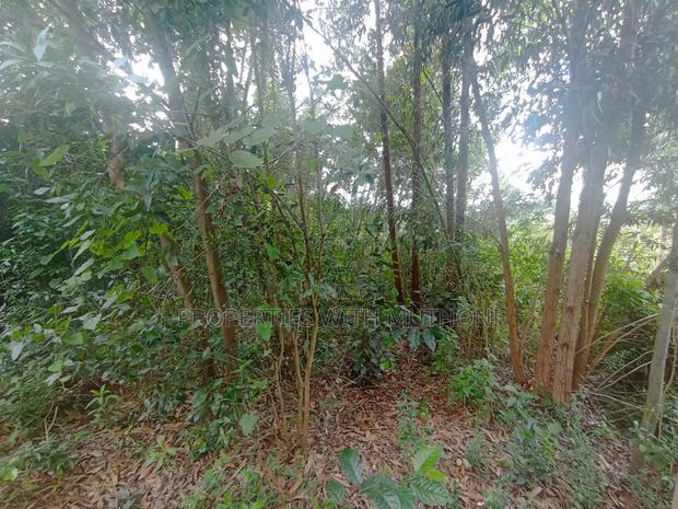 50×100 Plot for Sale in Gikambura, Kikuyu. - thumbnail 5
