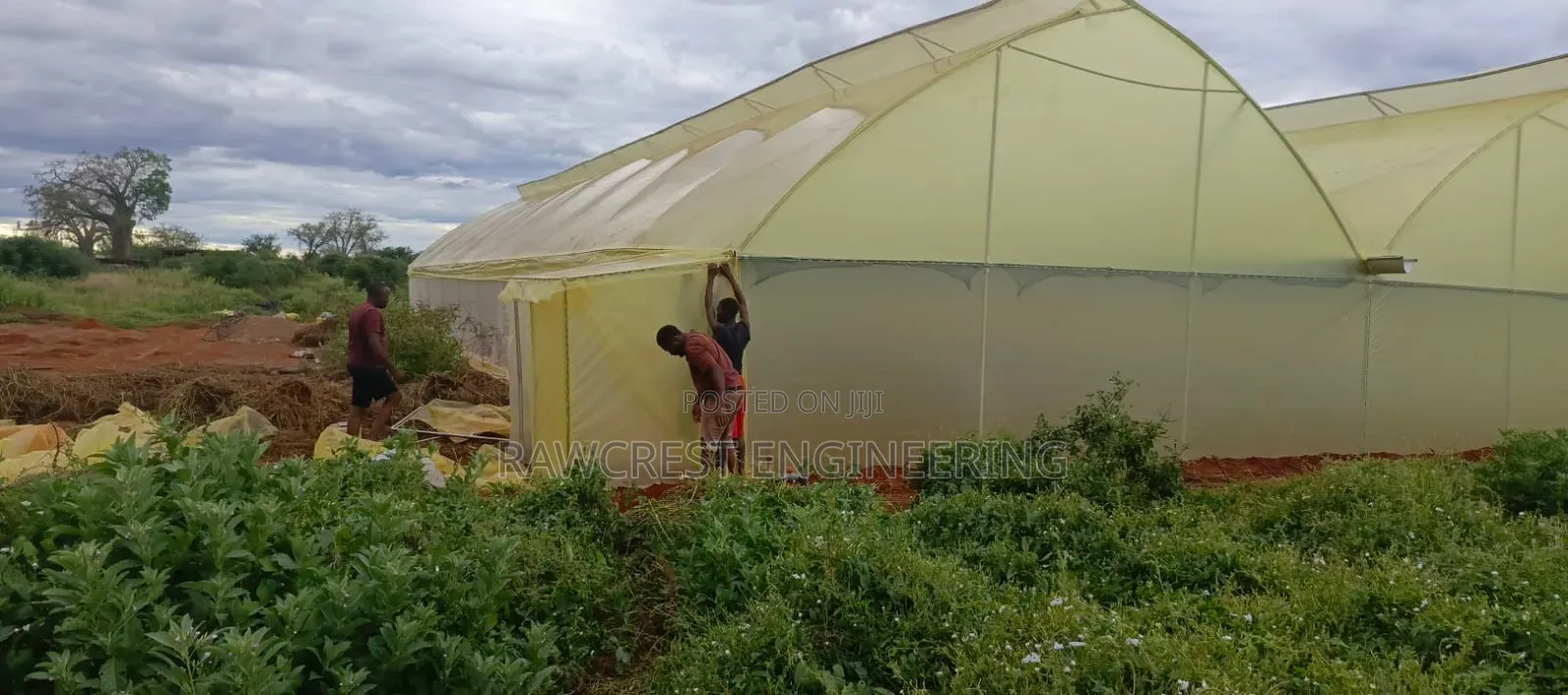 Greenhouse Construction