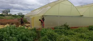 Greenhouse Construction