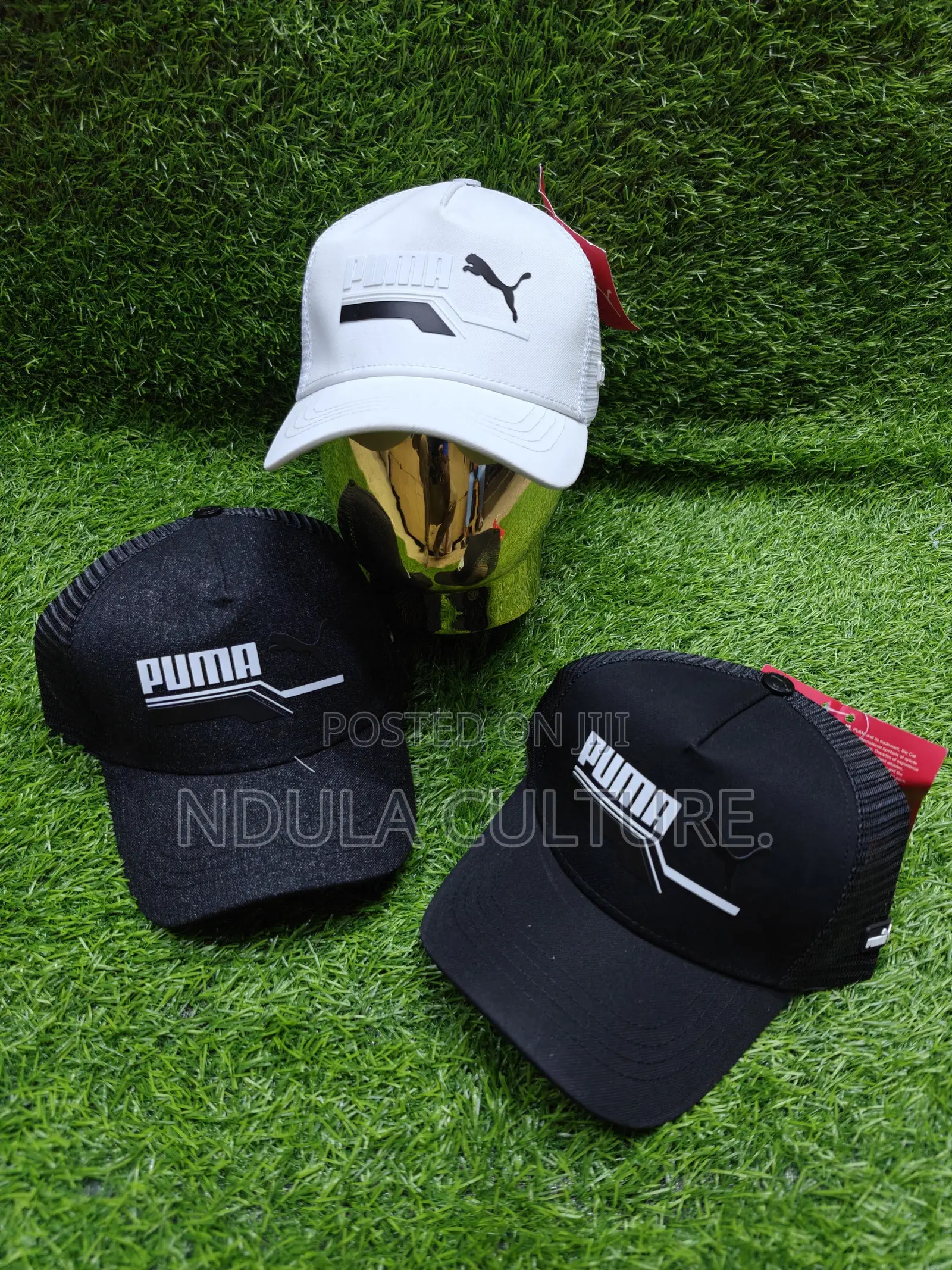 Armani Exchange,Puma ,Tommy,Boss Designer Caps