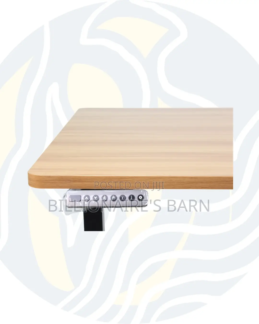 Durable Electric Standing Desk Heavy Duty Dual Monitor Workspace