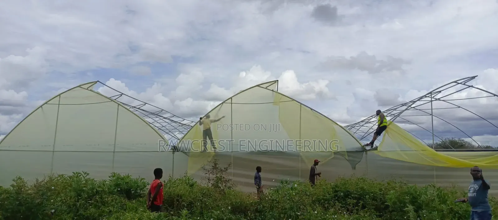 Greenhouse