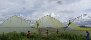 Greenhouse