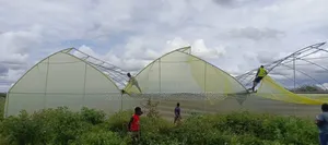 Greenhouse