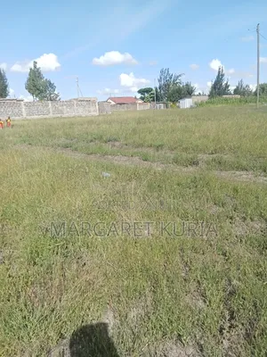 Malaa Plots for Sale