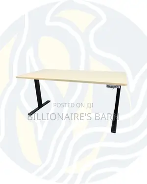 Modern Dual Motor Electric Standing Desk Ergonomic Workstation