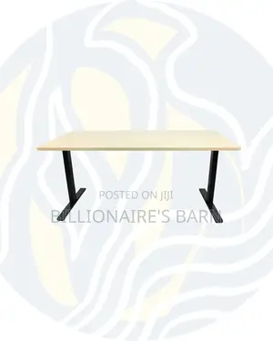 Modern Dual Motor Electric Standing Desk Ergonomic Workstation