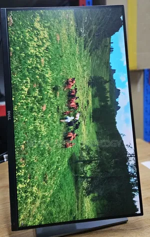 Dell 27inch Display 
Monitor 
 Display (2560* 1440p)